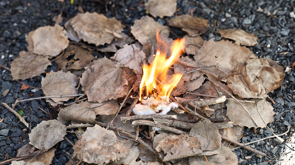Image of a burning flame from a tinder over wood and twig pieces